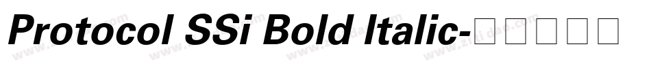 Protocol SSi Bold Italic字体转换